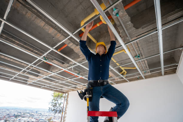 Best Sprinkler Systems  in Fruita, CO