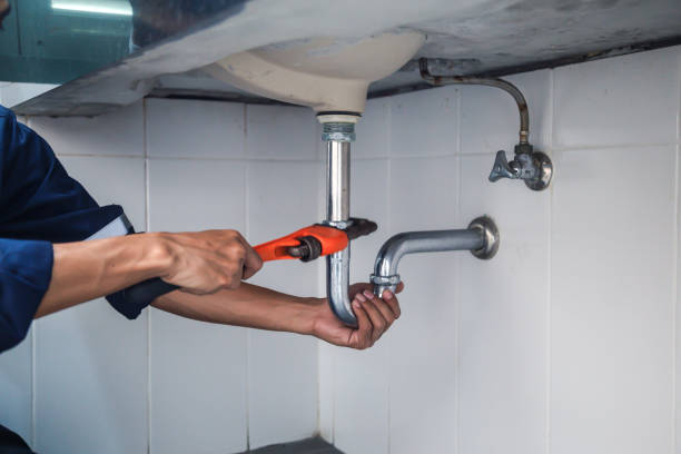 Best Affordable Plumbing Services  in Fruita, CO