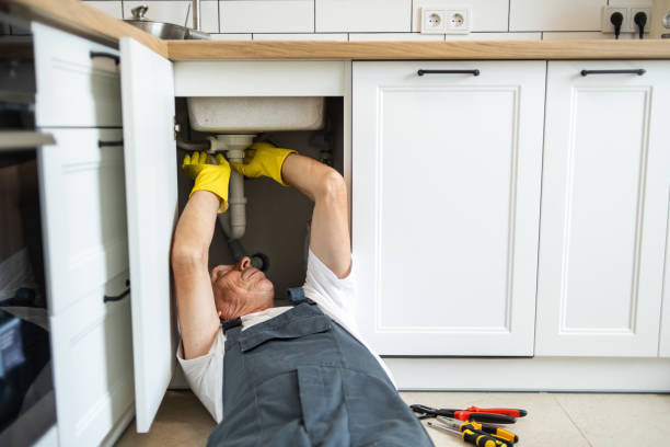Best Residential Plumbing Services  in Fruita, CO
