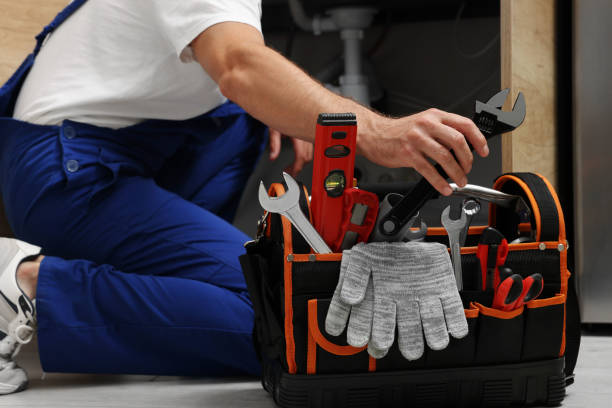 Best Best Plumbers Near Me  in Fruita, CO